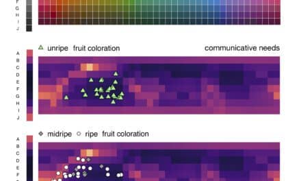 Mapping Words to Color