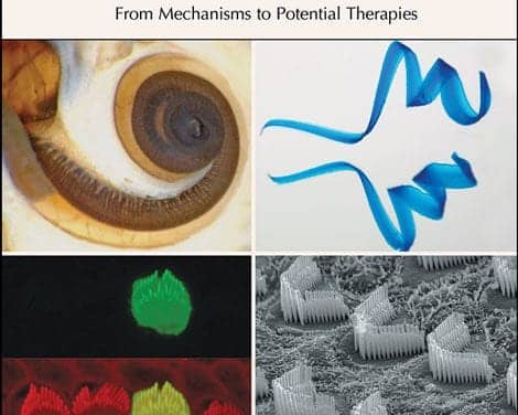 Cold Spring Harbor Laboratory Press Releases ‘Function and Dysfunction of the Cochlea’