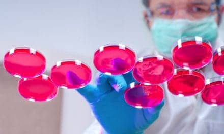 Cord Blood Infusions May Improve ABRs in Pediatric SNHL Patients, Reports CBR