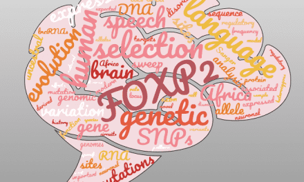Study Challenges Evolution of How Humans Acquired Language